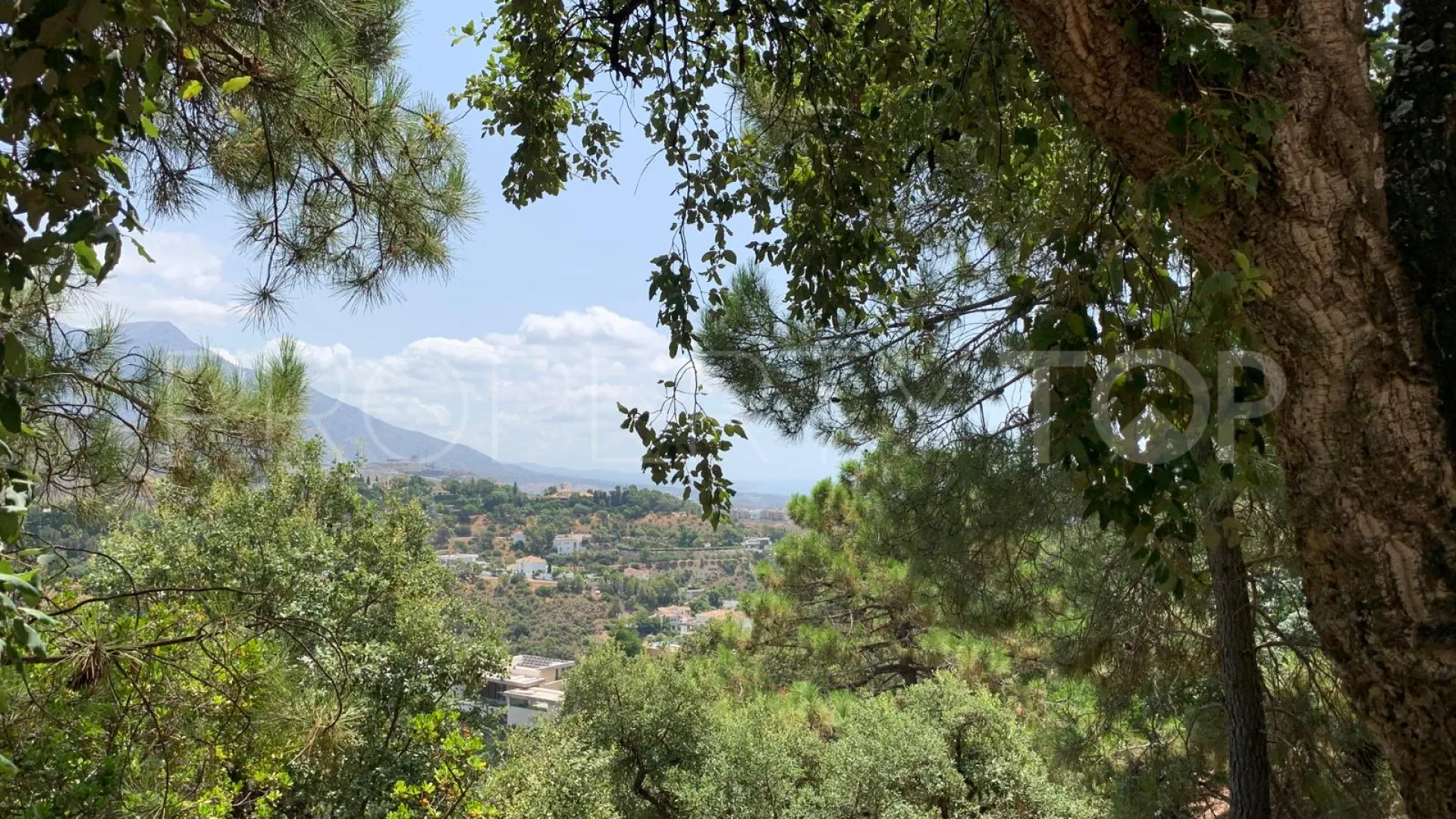 Parcela a la venta en El Madroñal