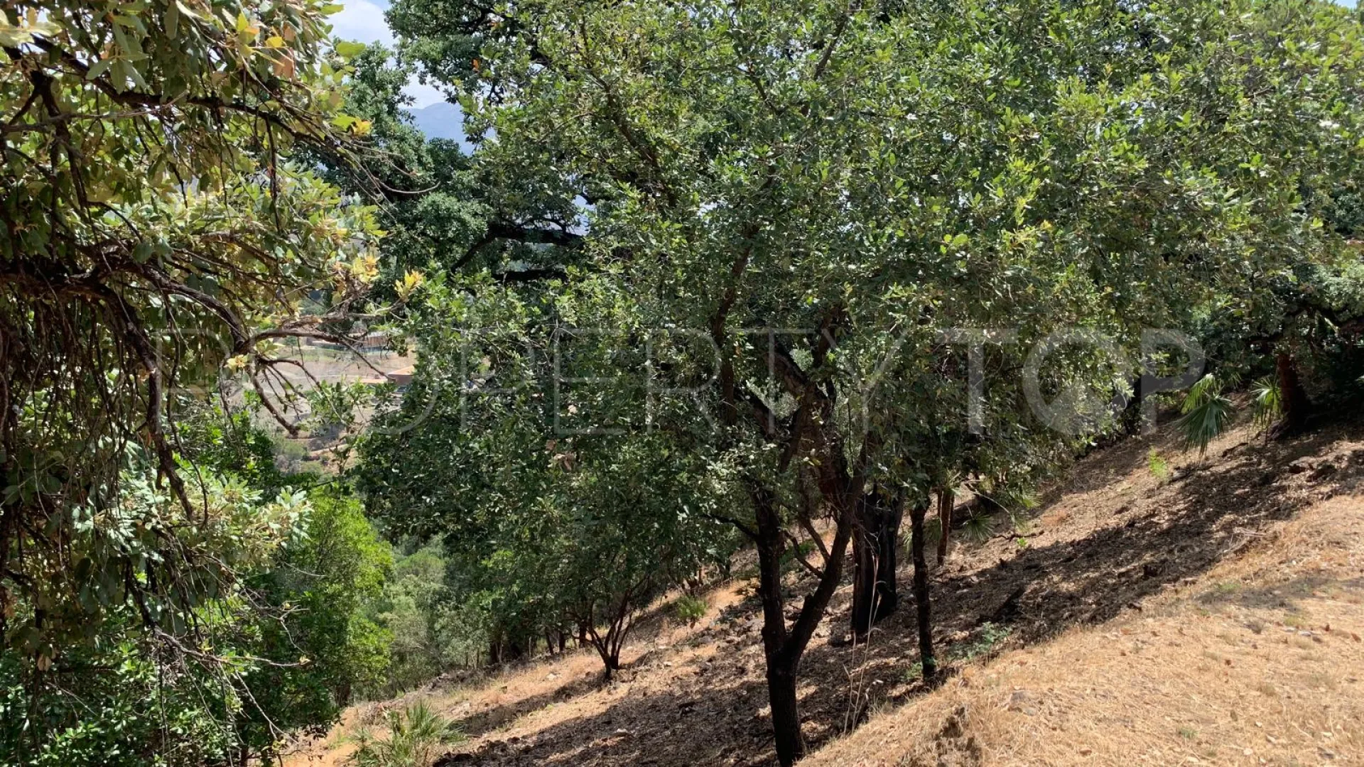 Parcela a la venta en El Madroñal