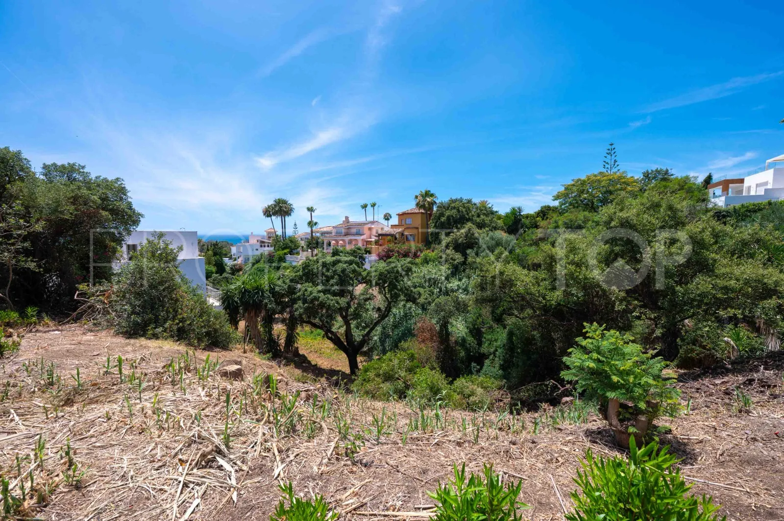 For sale Elviria plot