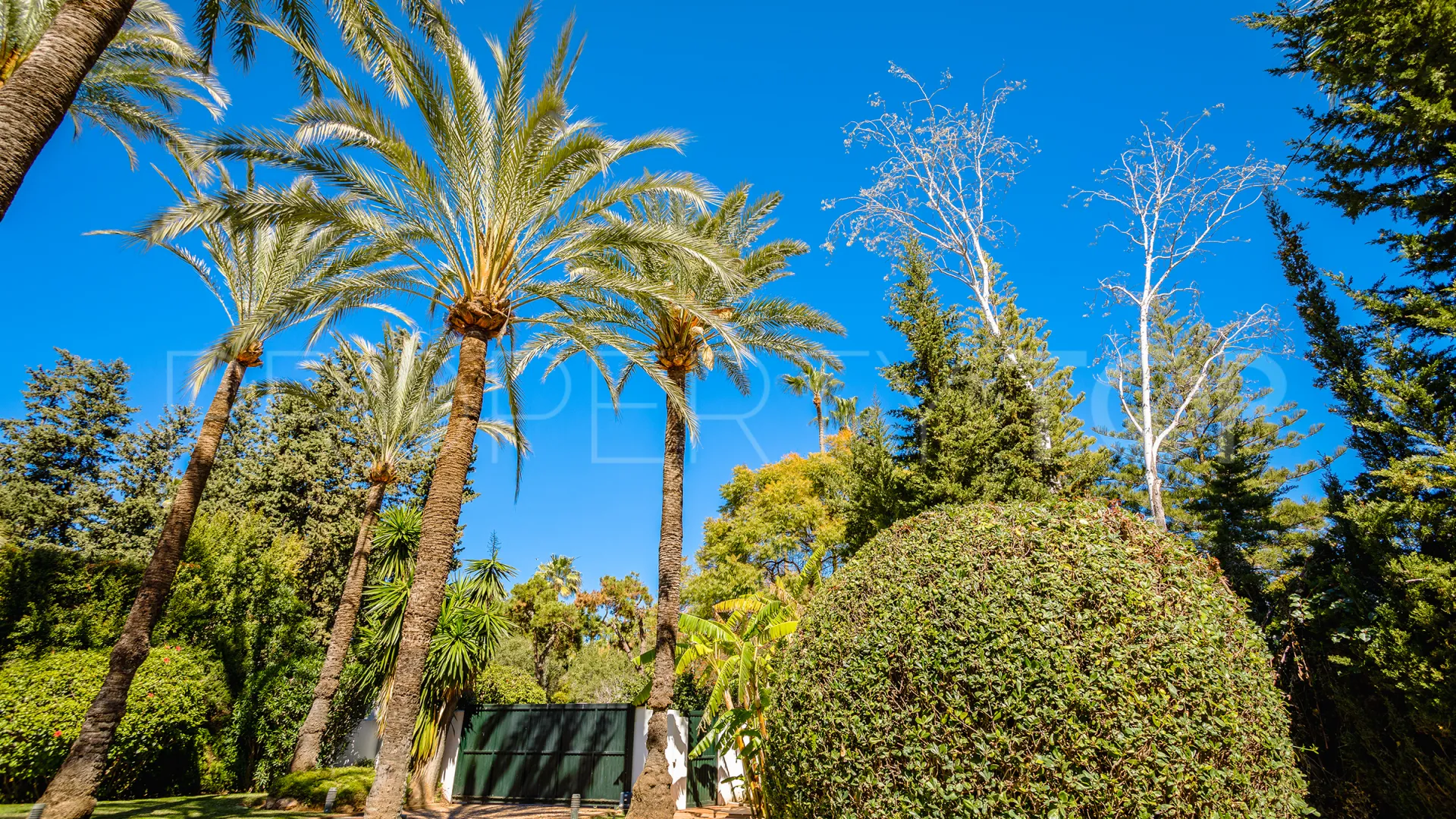For sale villa with 6 bedrooms in Guadalmina Baja