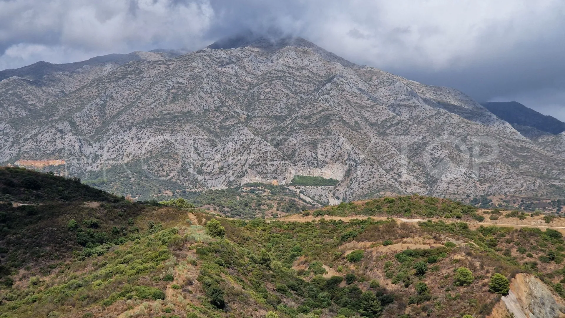 For sale Nueva Andalucia plot