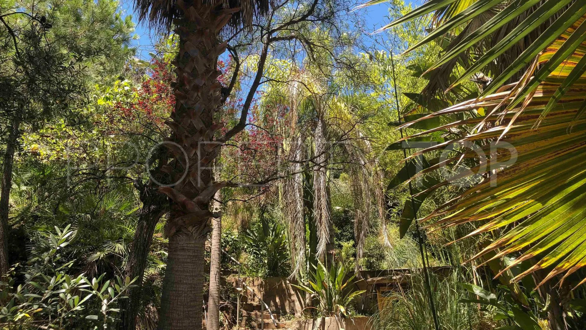 For sale Benahavis 7 bedrooms villa