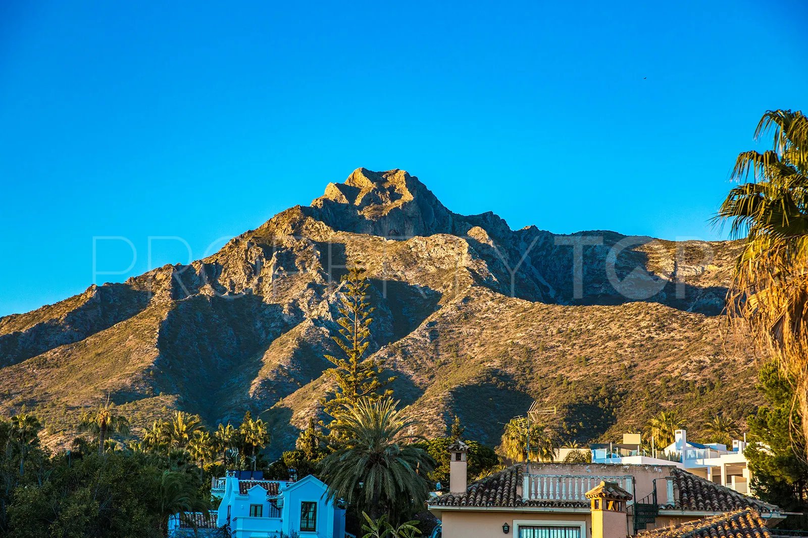 Buy villa in Sierra Blanca