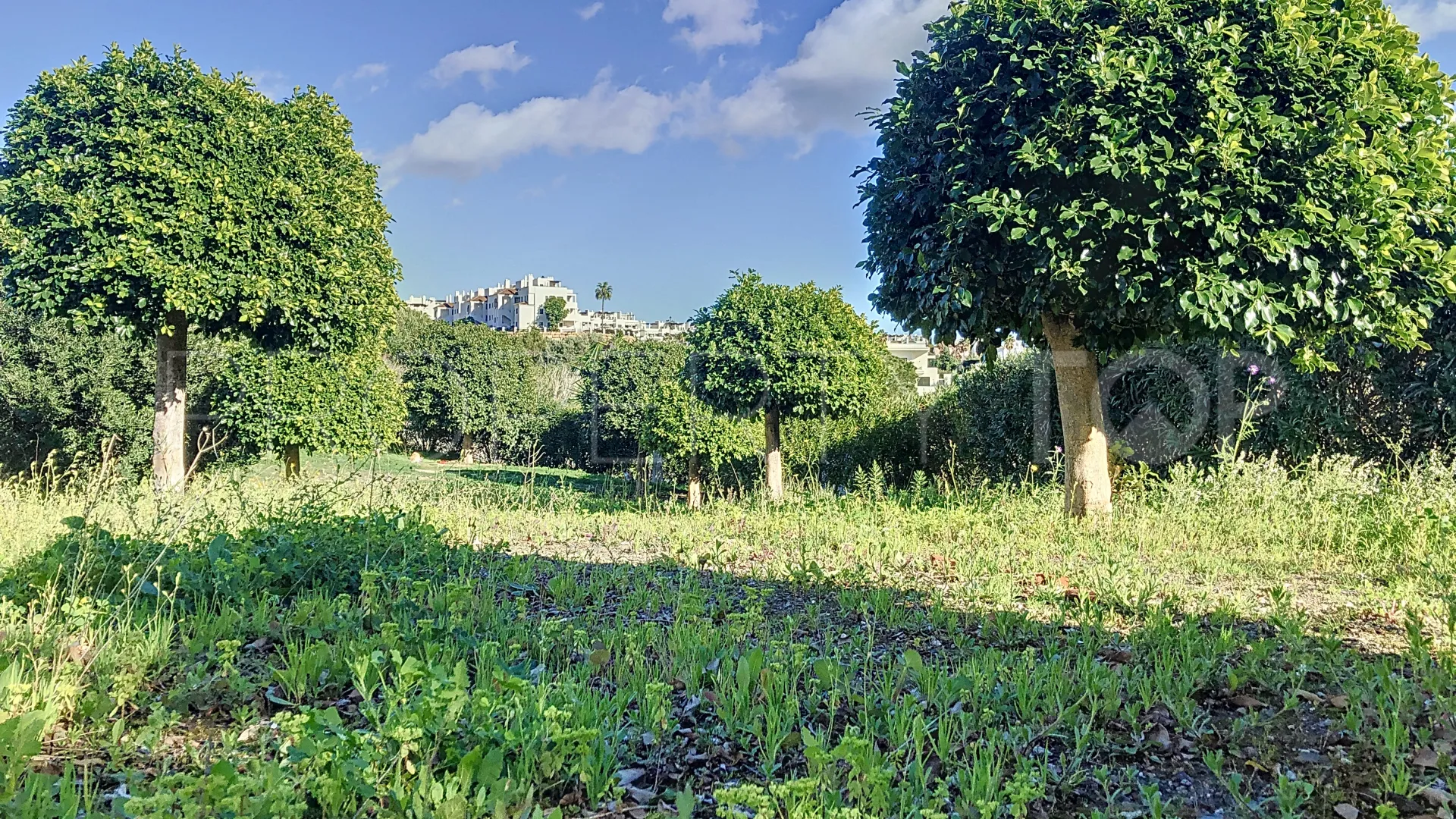 For sale plot in La Resina Golf