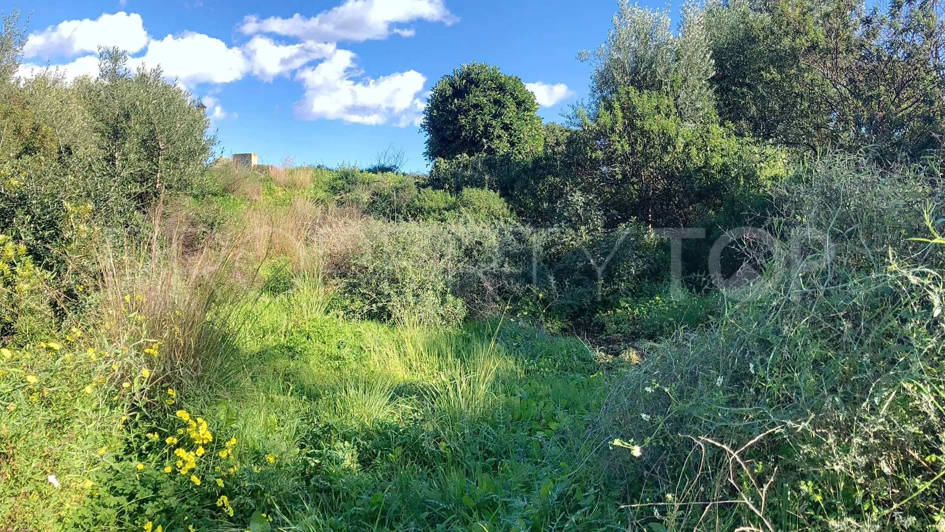 For sale plot in La Resina Golf