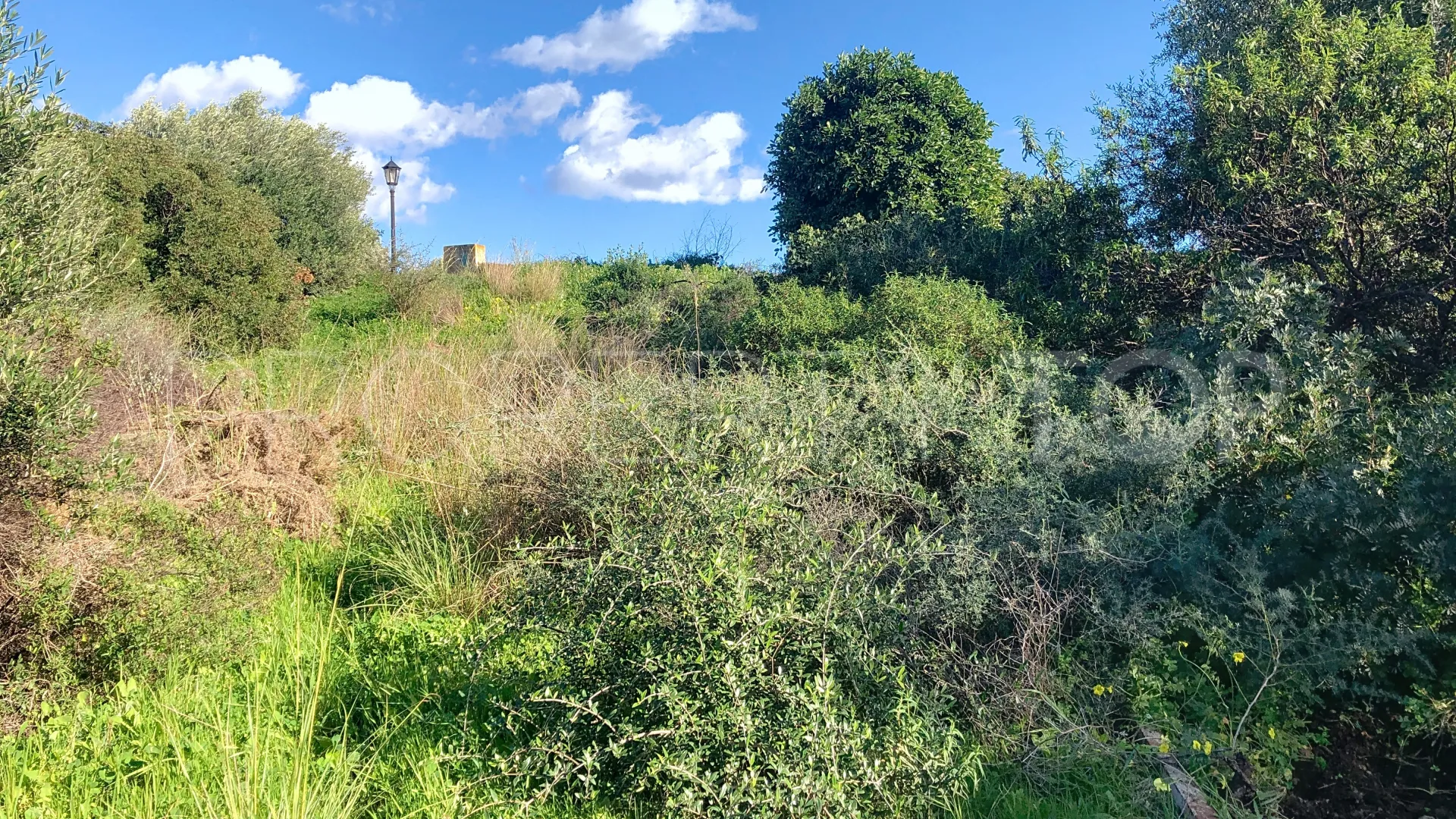 For sale plot in La Resina Golf