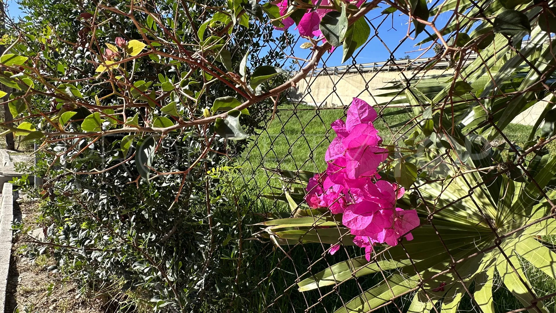 Plot in Buenas Noches for sale