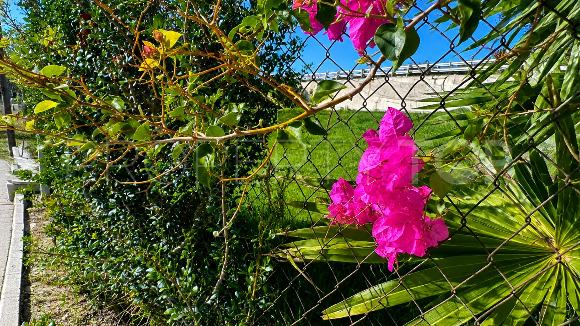 Plot in Buenas Noches for sale