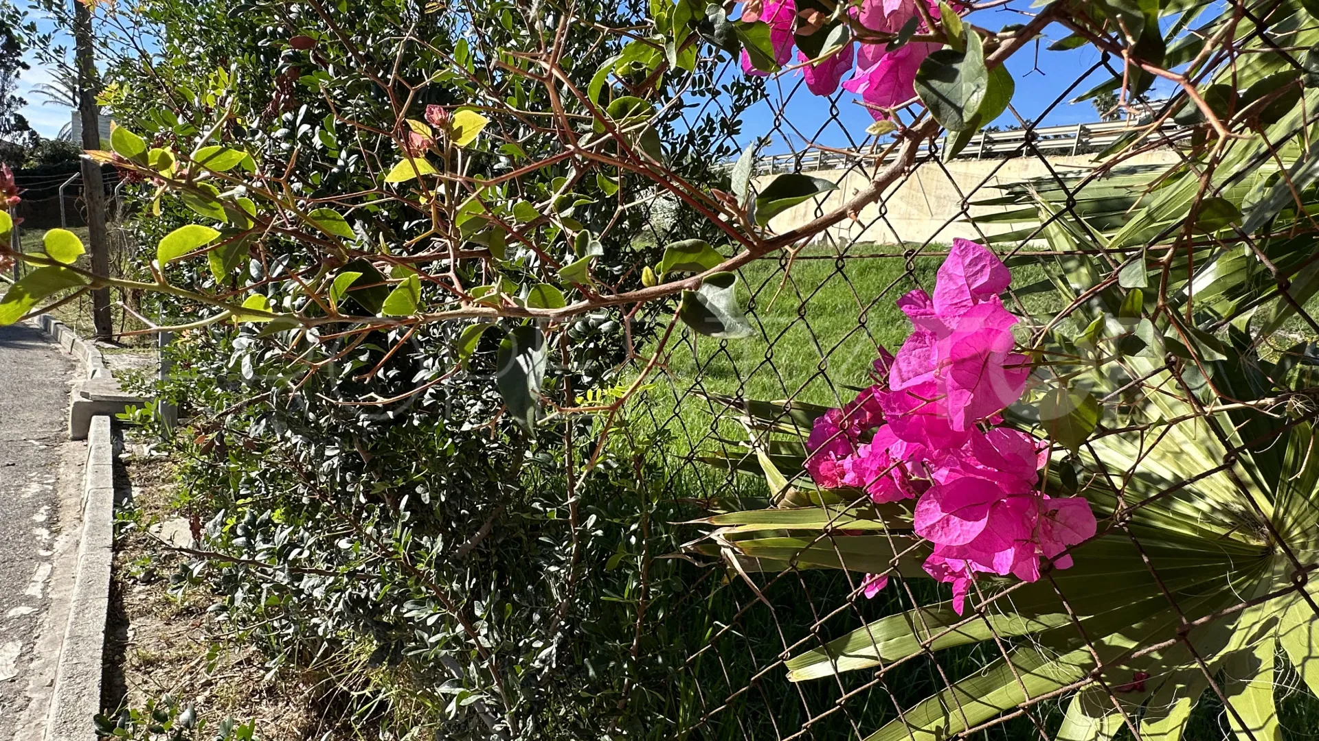 Plot in Buenas Noches for sale
