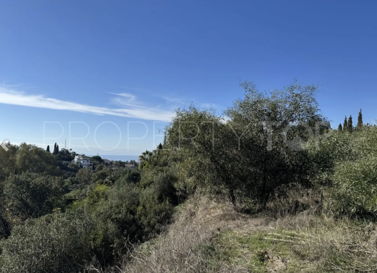 Elviria plot for sale