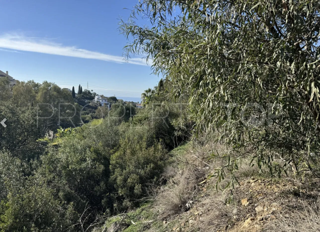 Elviria plot for sale
