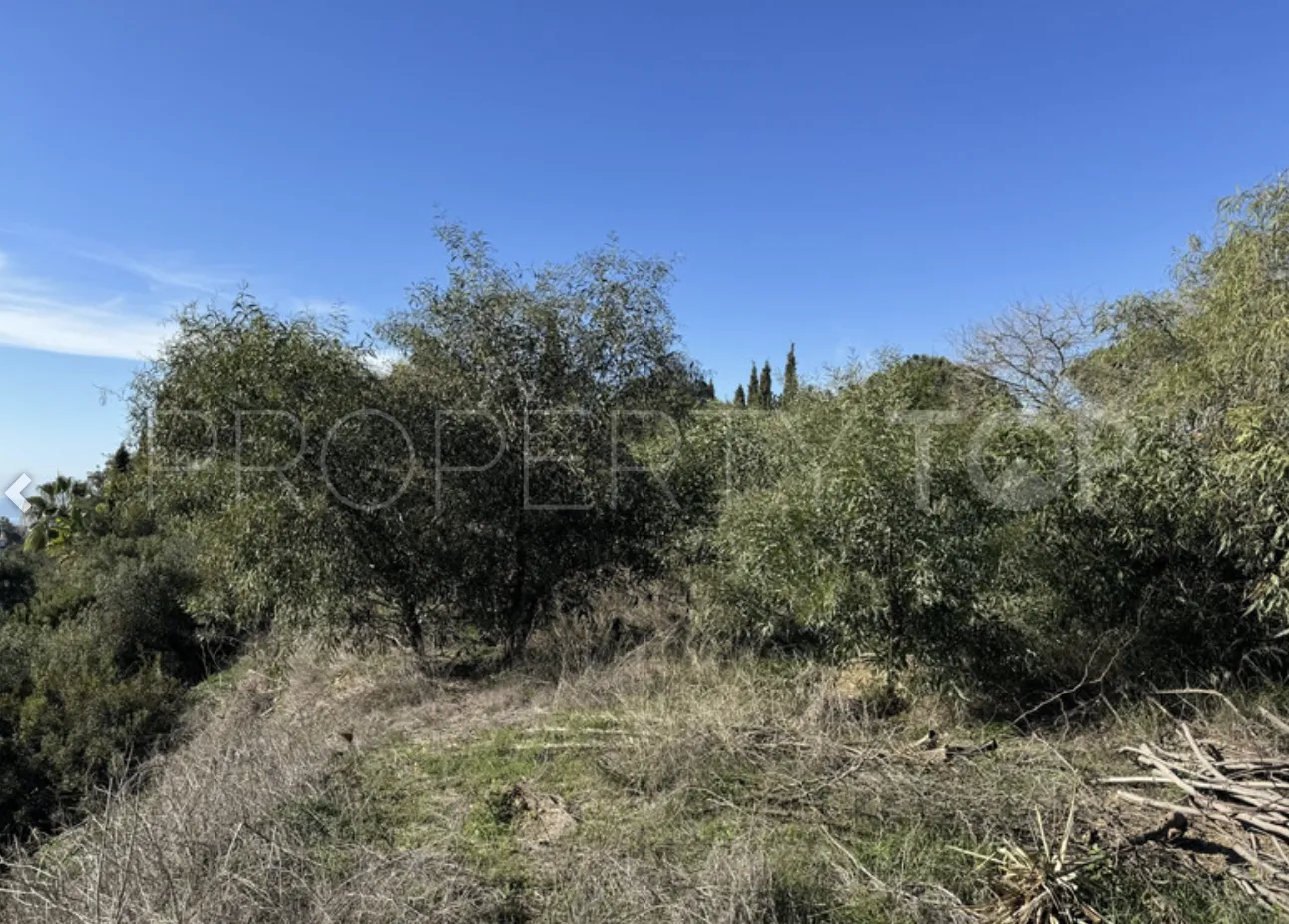 Elviria plot for sale