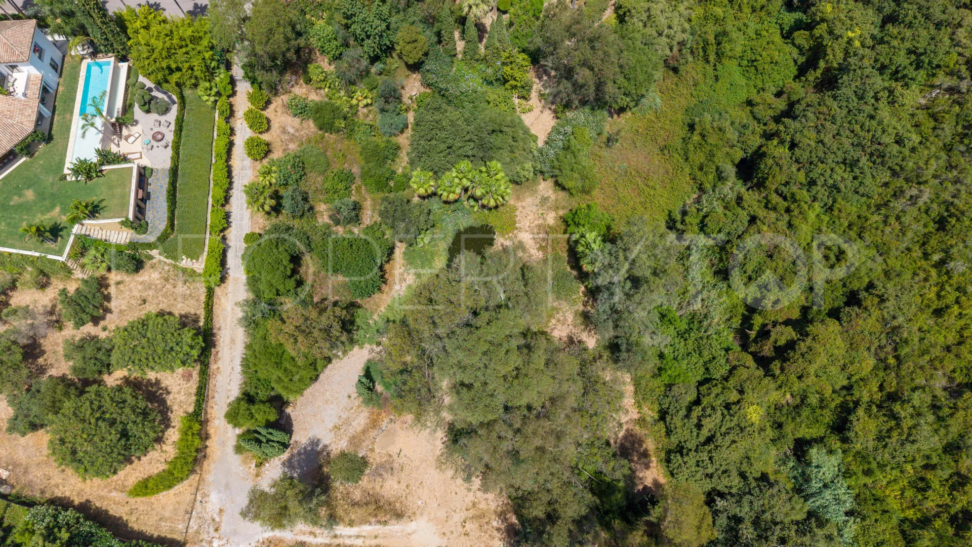 Comprar parcela en Sotogrande Alto