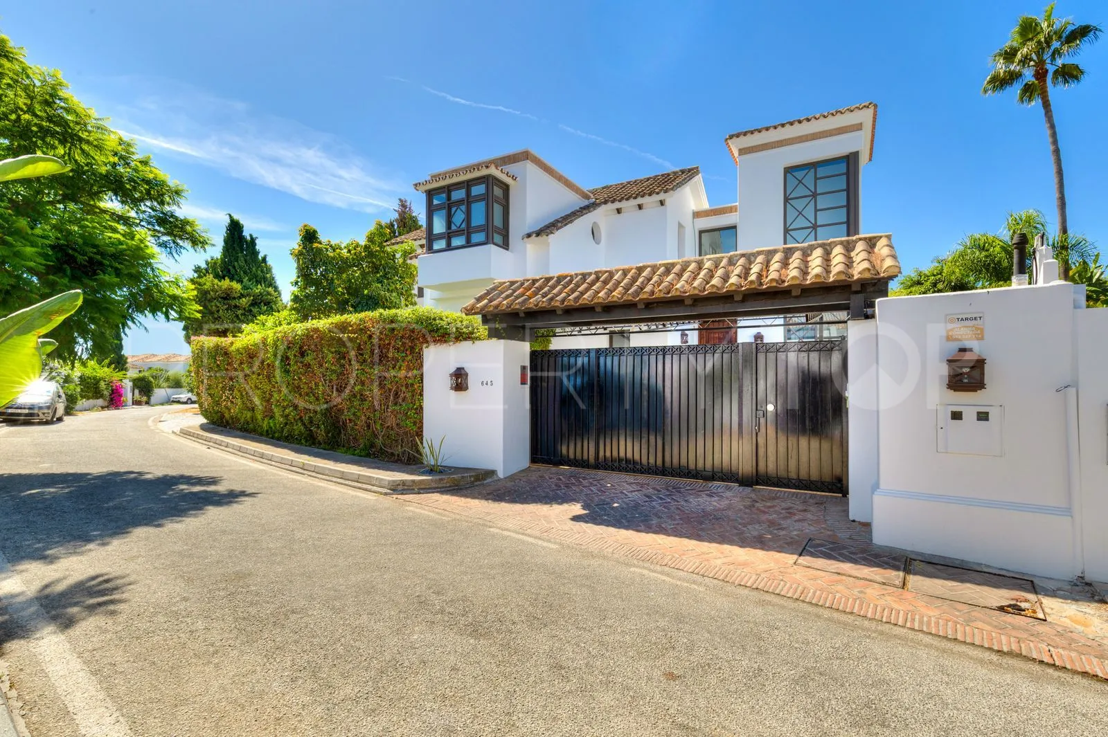 Buy Guadalmina Alta villa