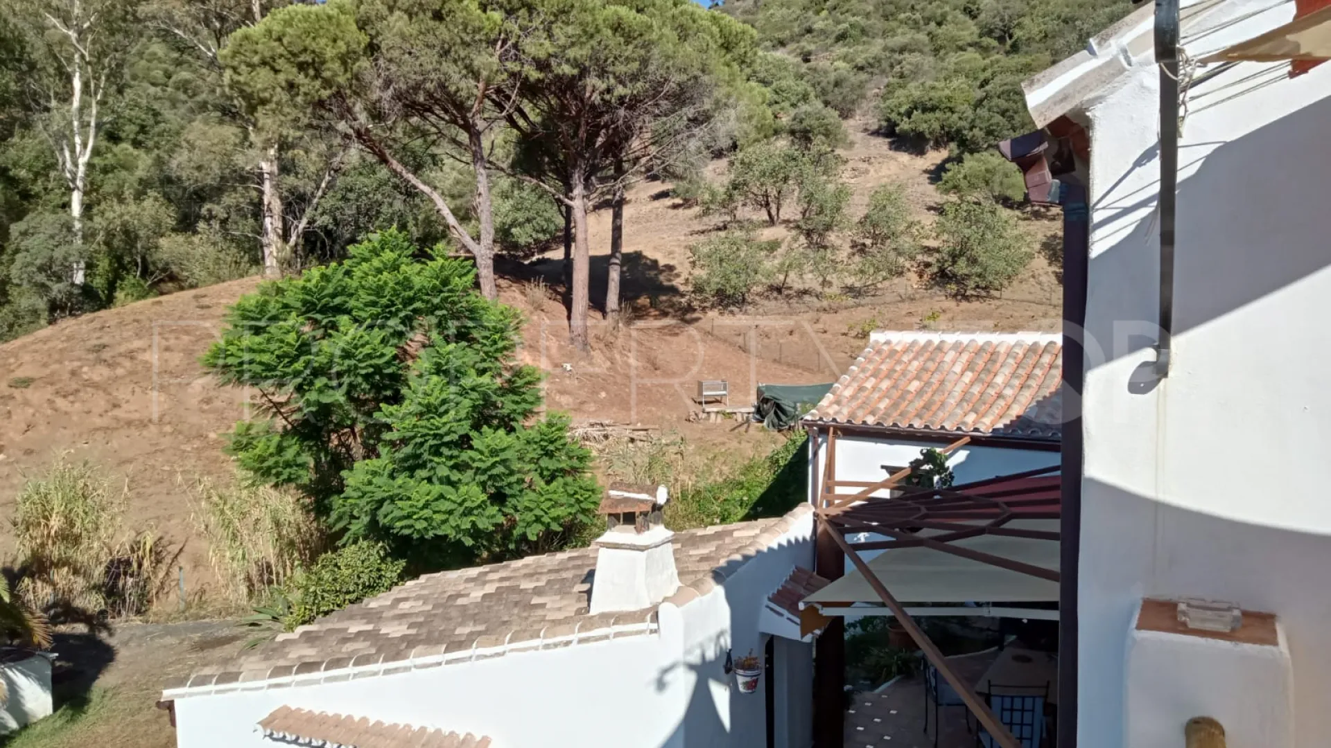 Casares, casa de campo en venta