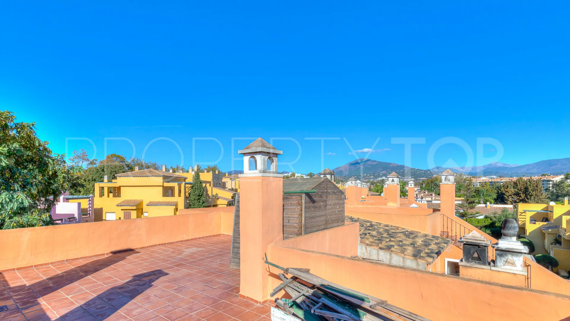 3 bedrooms Guadalmina Alta penthouse for sale