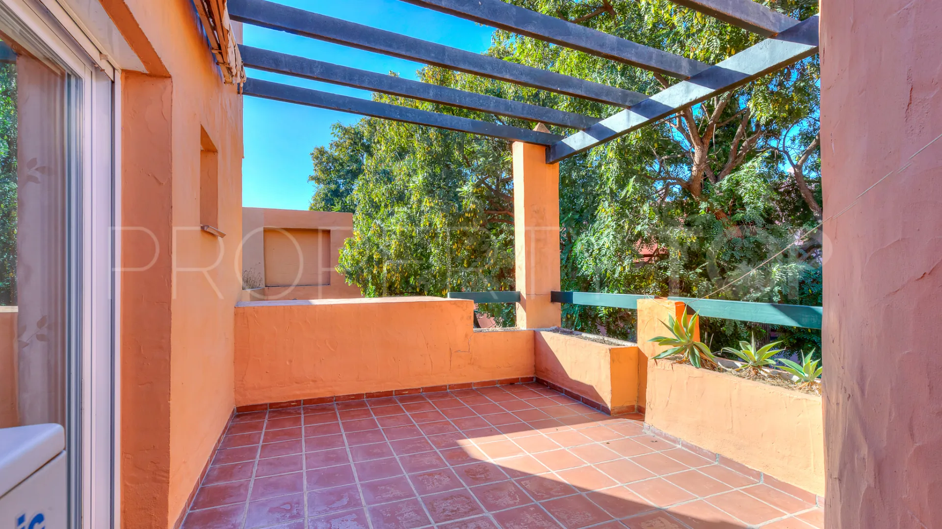 3 bedrooms Guadalmina Alta penthouse for sale