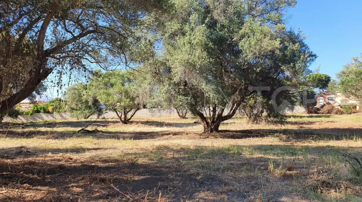 Parcela a la venta en San Pedro de Alcantara