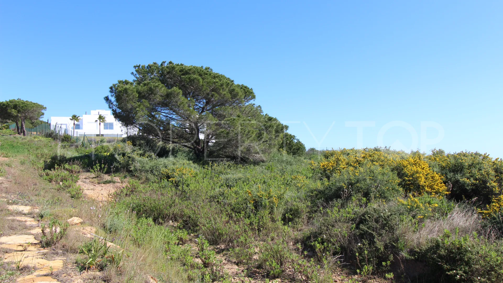 Sotogrande, villa en venta con 6 dormitorios