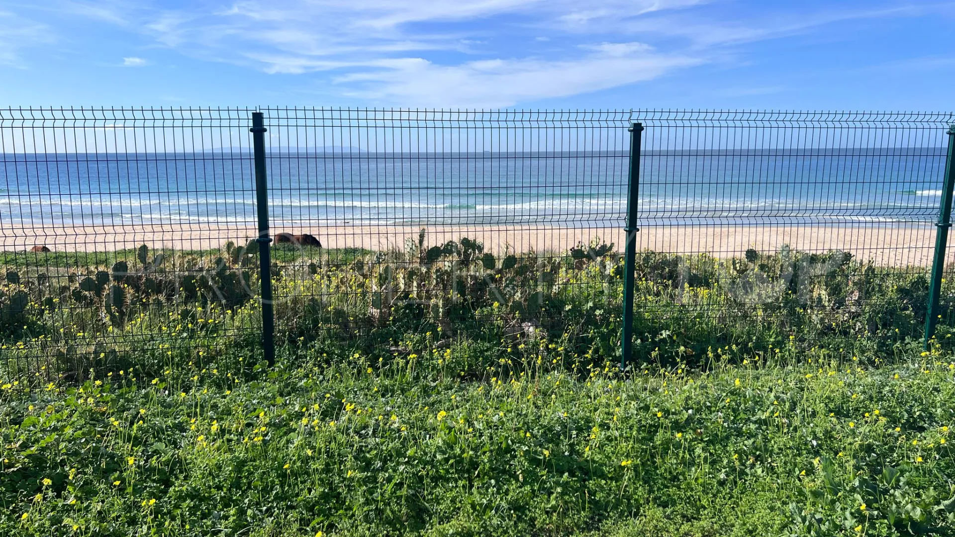 Bolonia plot for sale