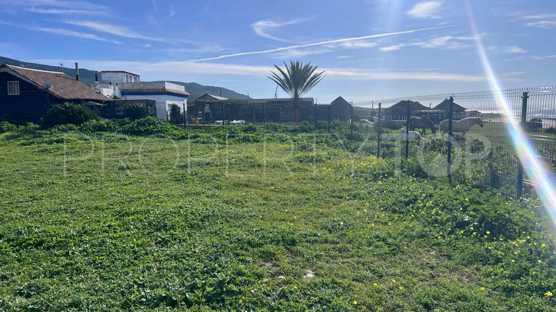 Bolonia plot for sale