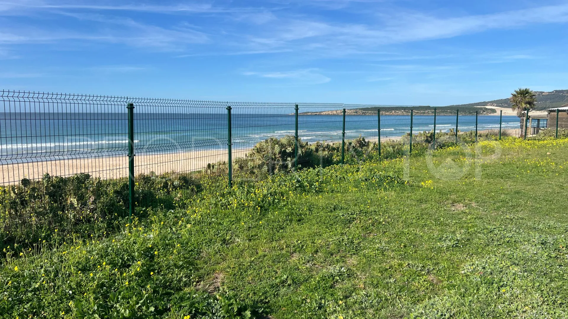 Bolonia plot for sale