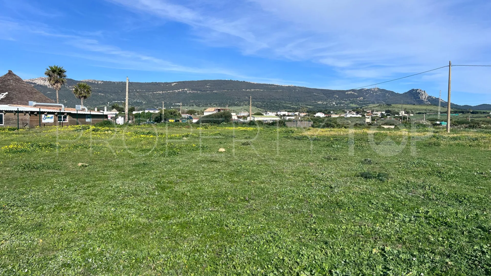 Bolonia plot for sale