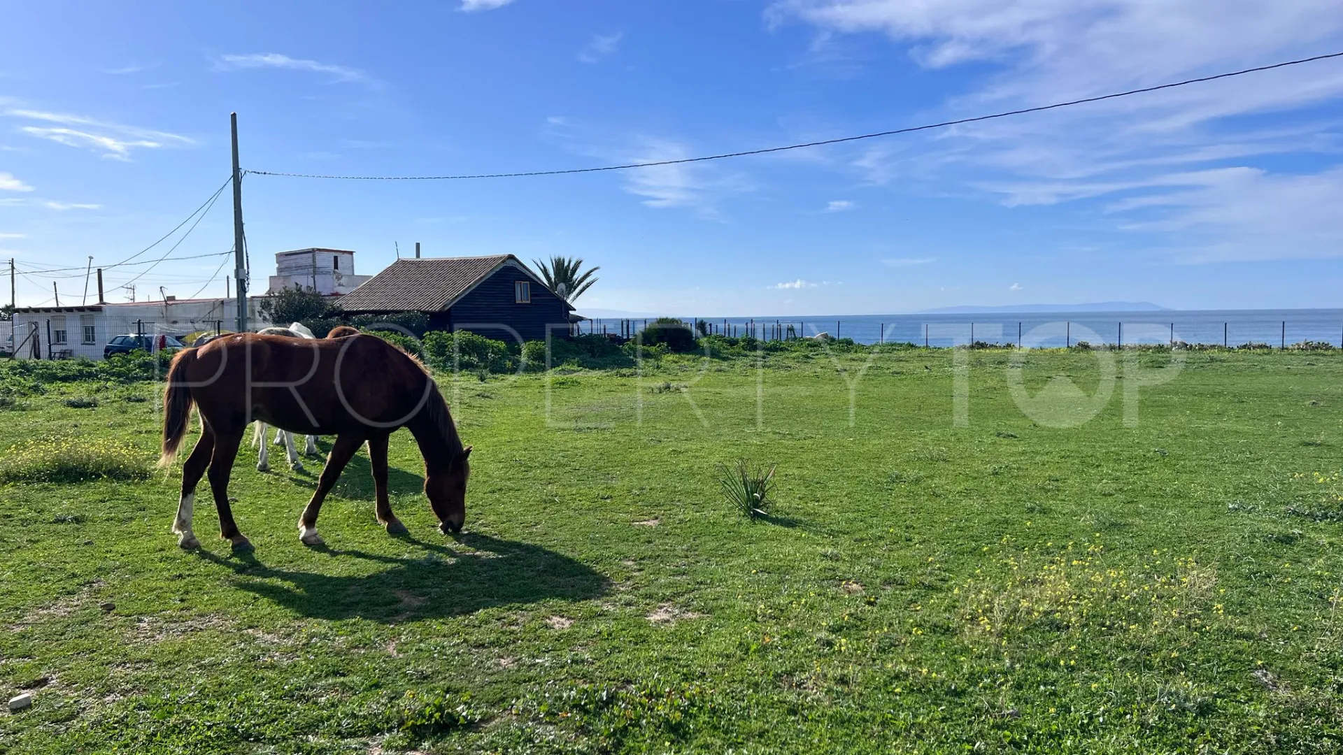 Bolonia plot for sale