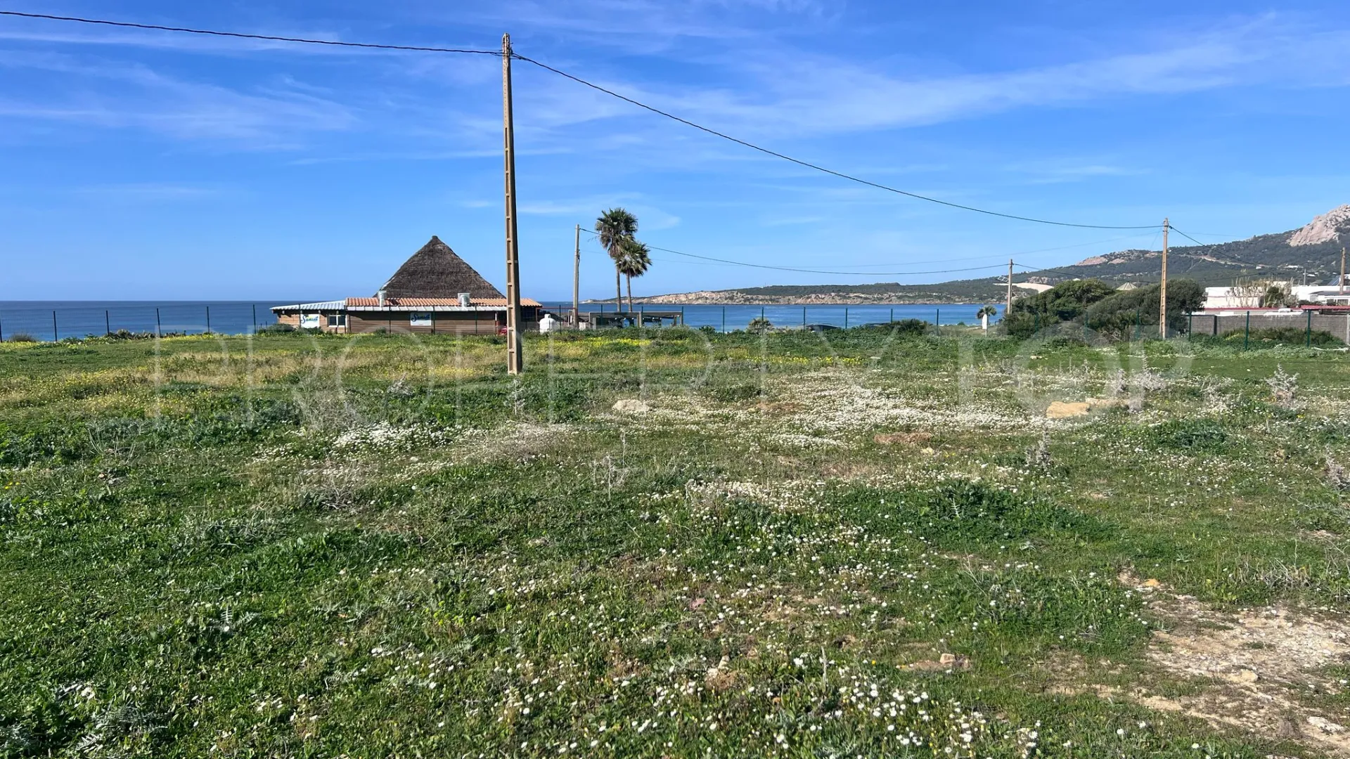Bolonia plot for sale