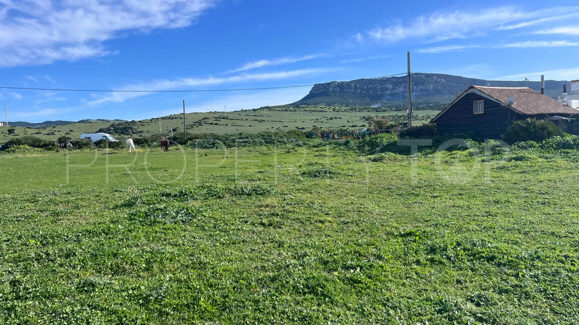 Bolonia plot for sale