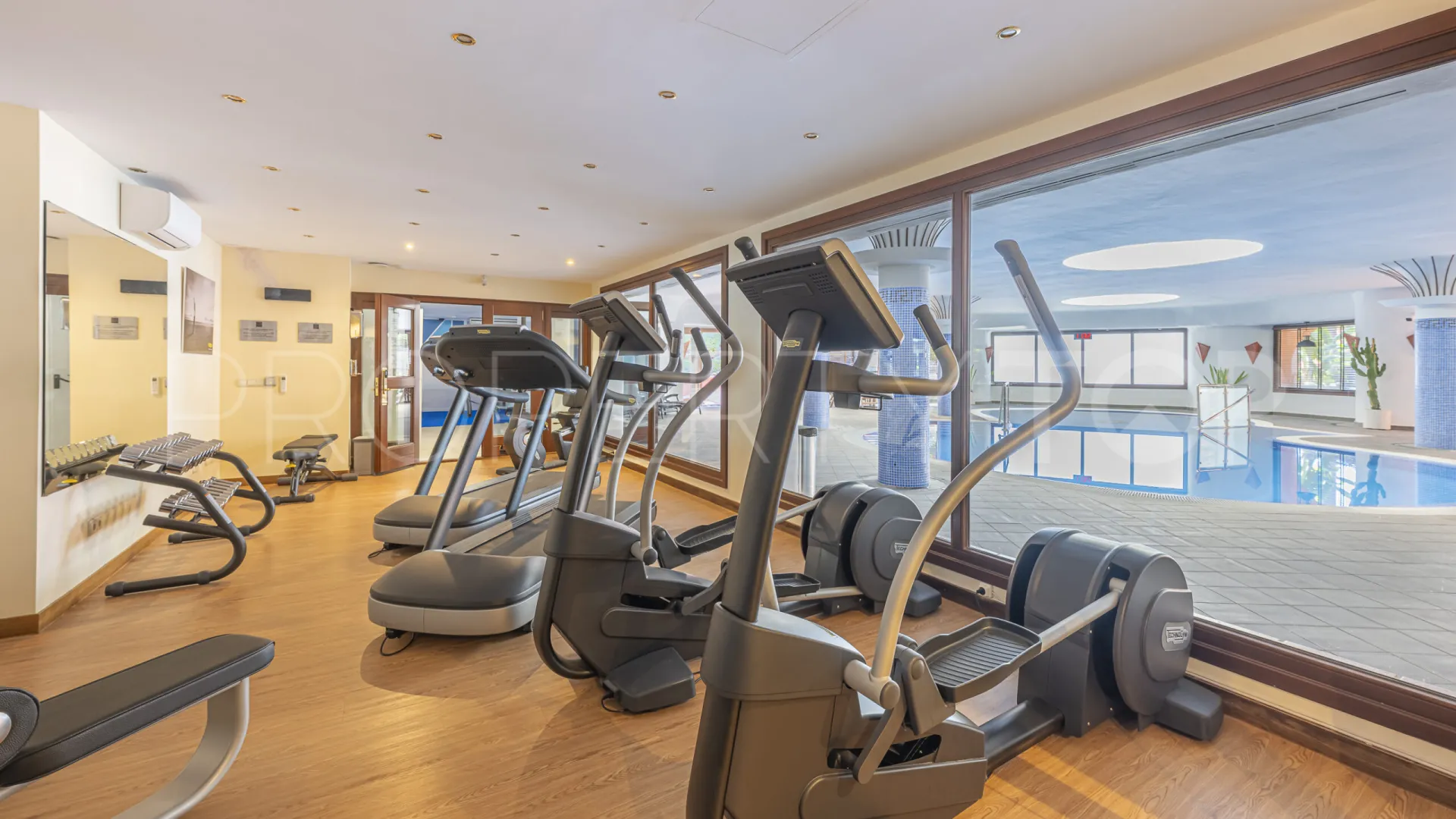 3 bedrooms Torre Bermeja duplex penthouse for sale
