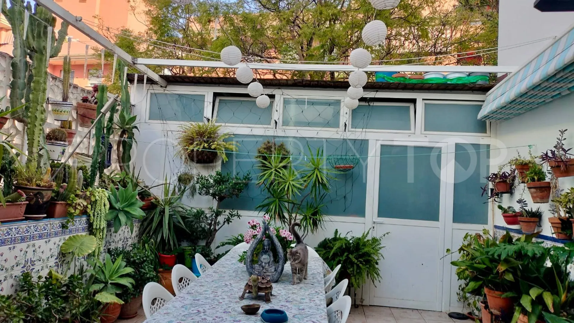 Buy San Pedro de Alcantara 4 bedrooms ground floor apartment