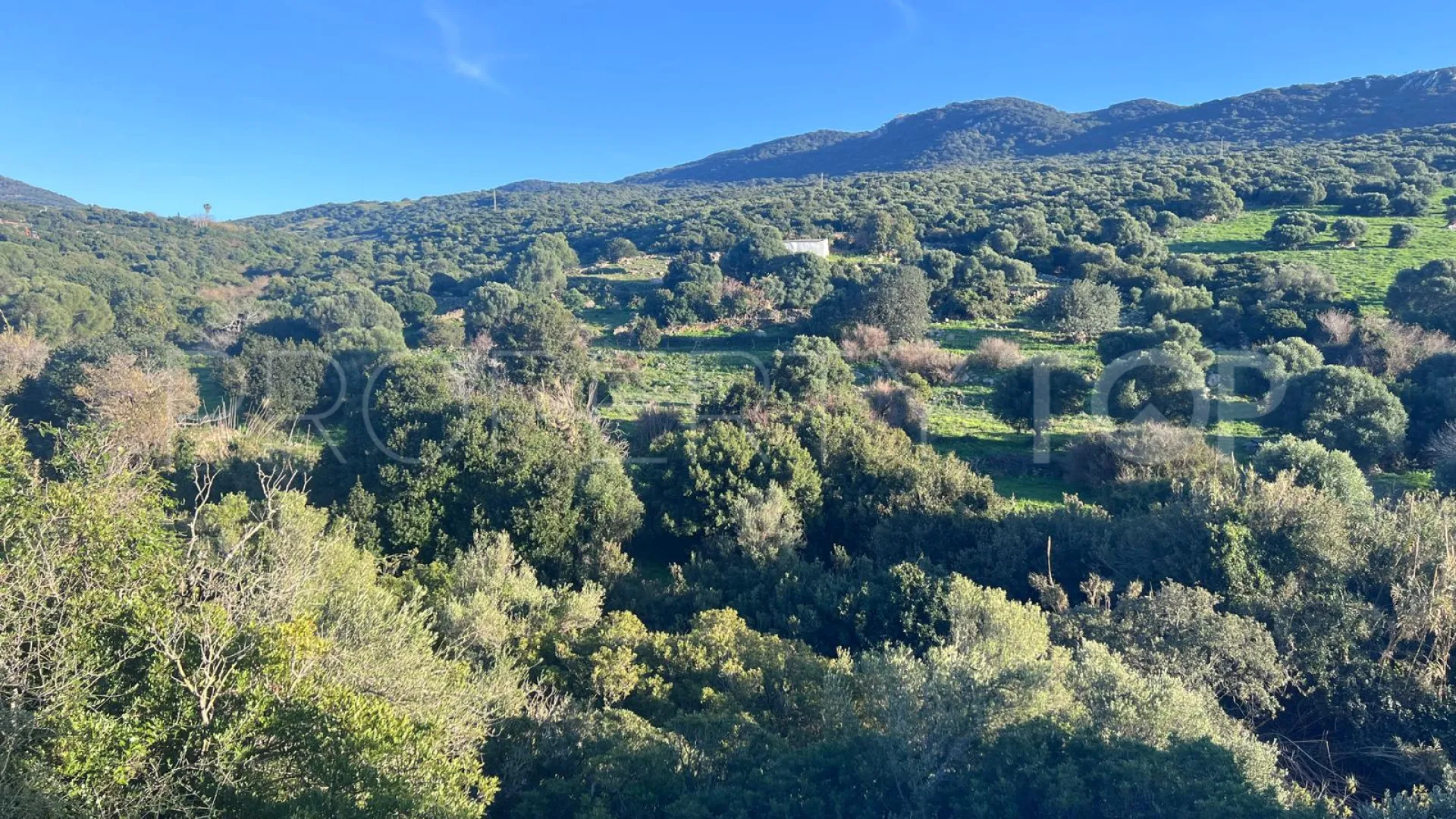 Plot in Tarifa for sale
