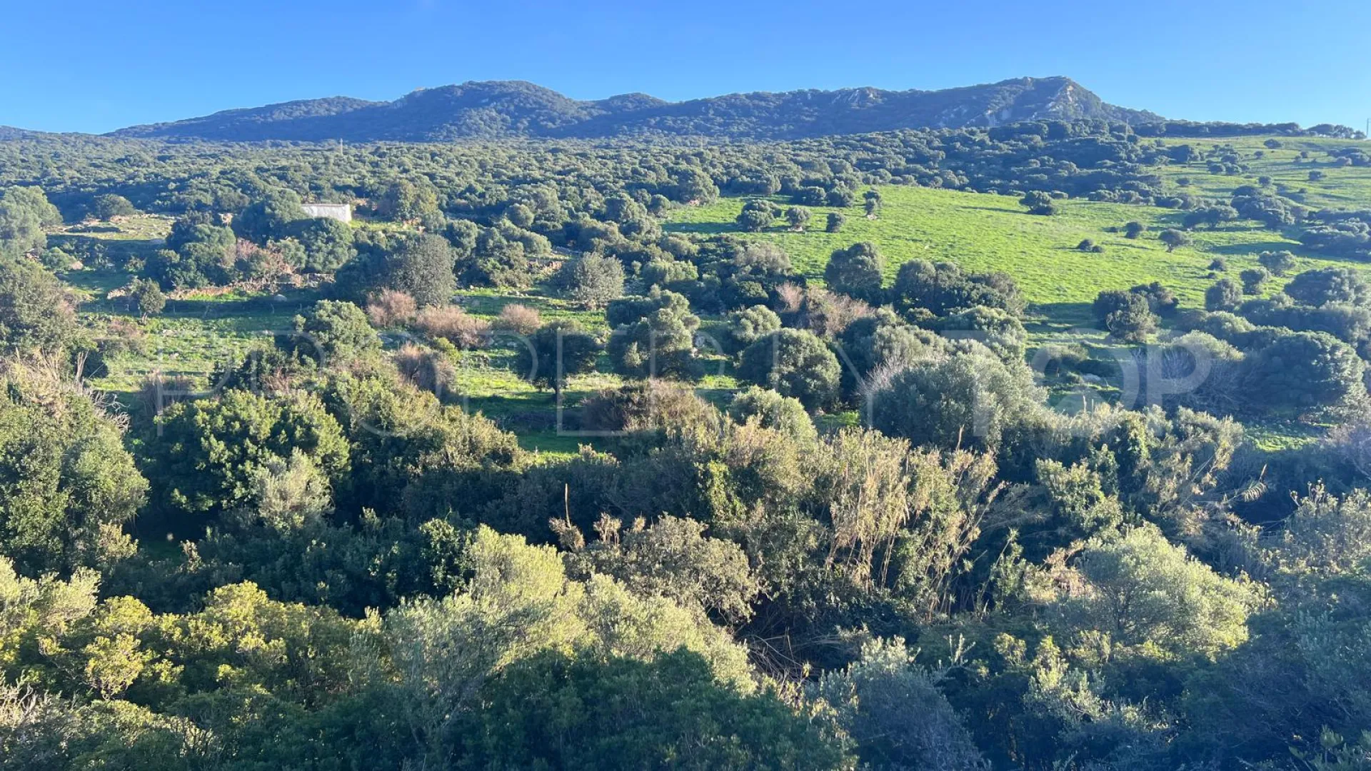 Plot in Tarifa for sale