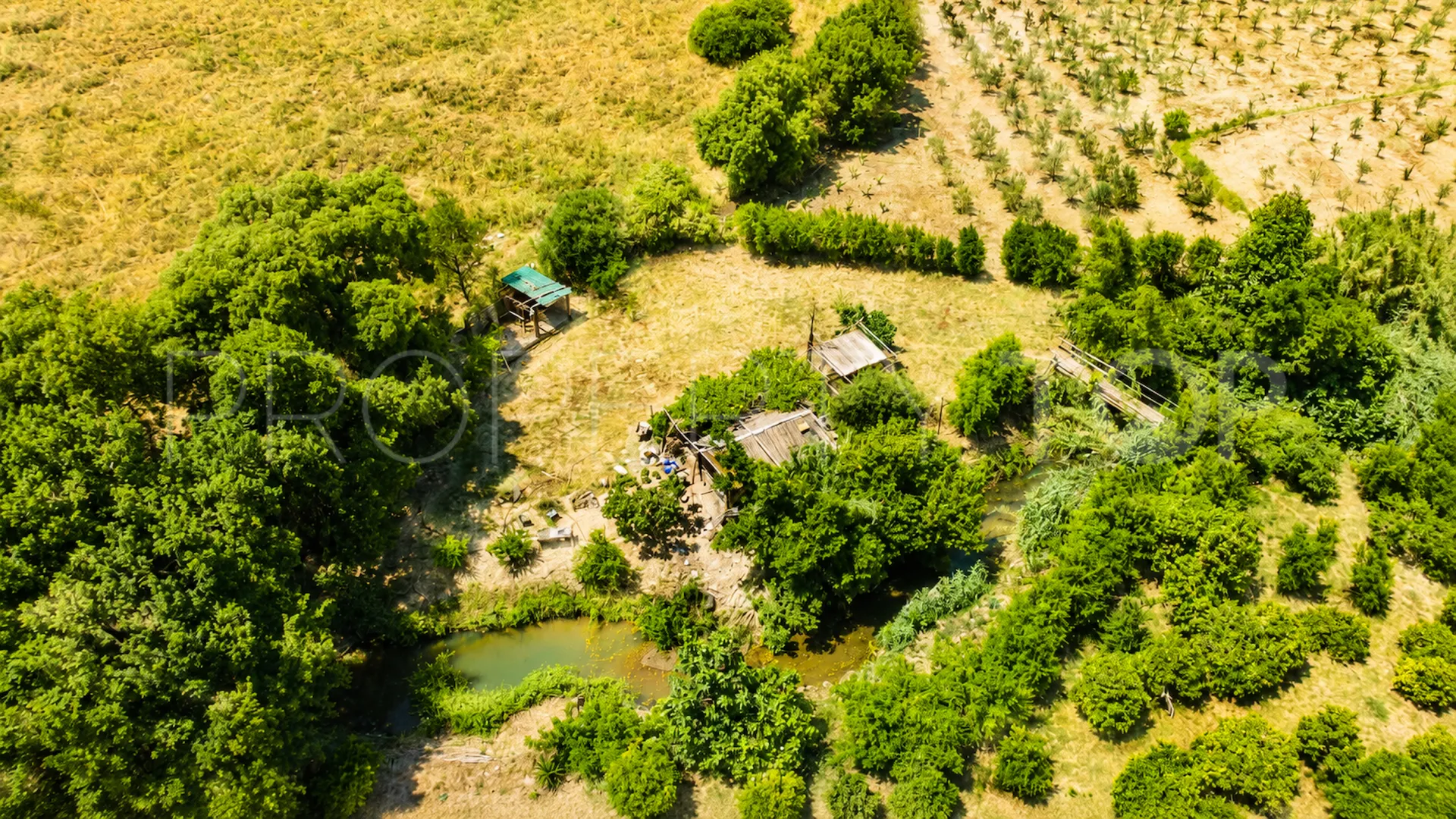Finca en venta de 4 dormitorios en Jimena de La Frontera