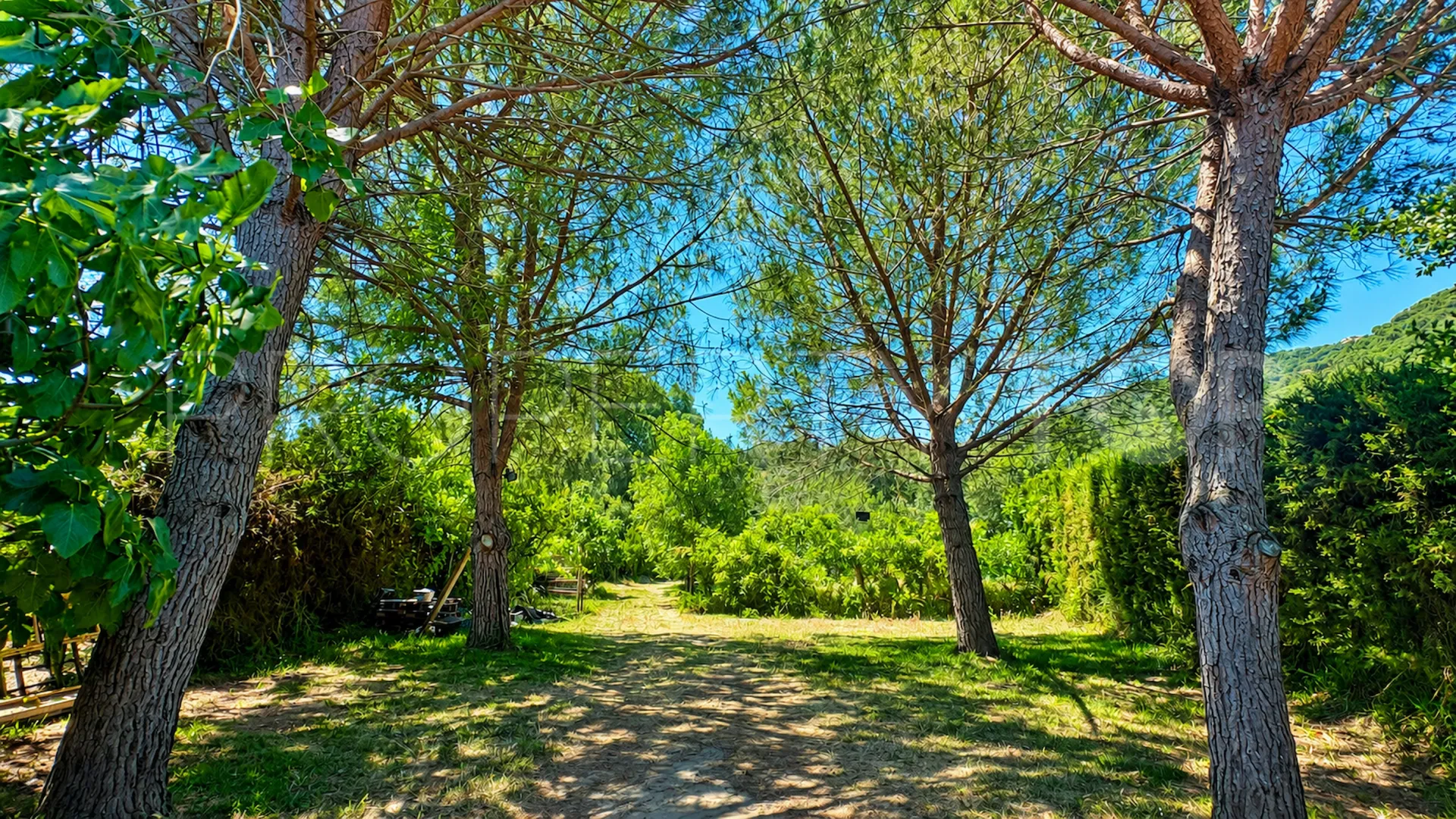 Finca en venta de 4 dormitorios en Jimena de La Frontera