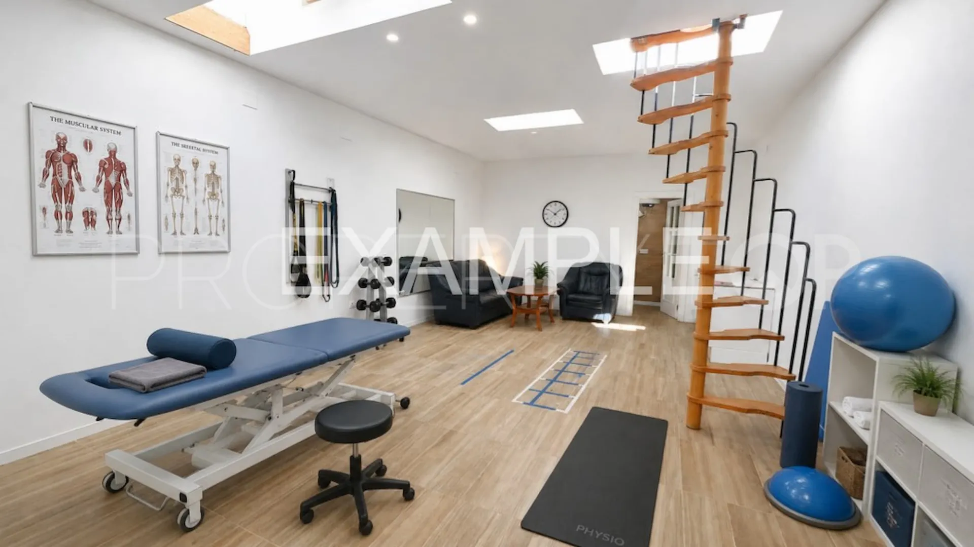 For sale commercial premises in Princesa Kristina