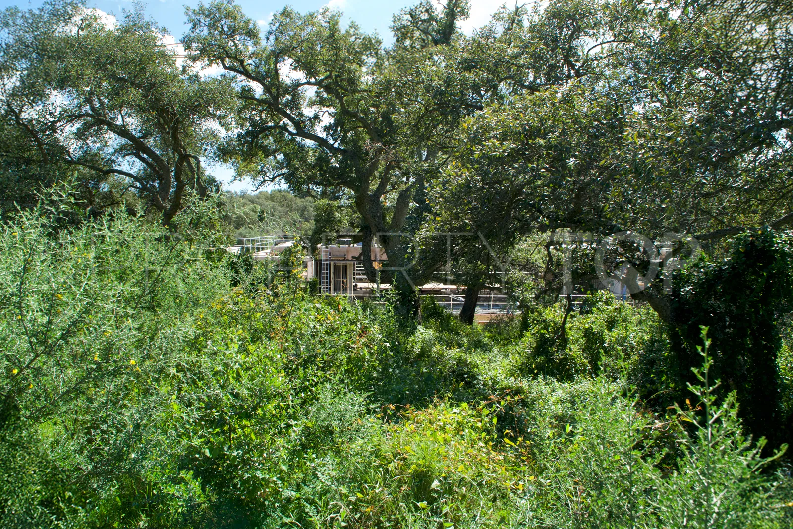 Plot for sale in Los Altos de Valderrama