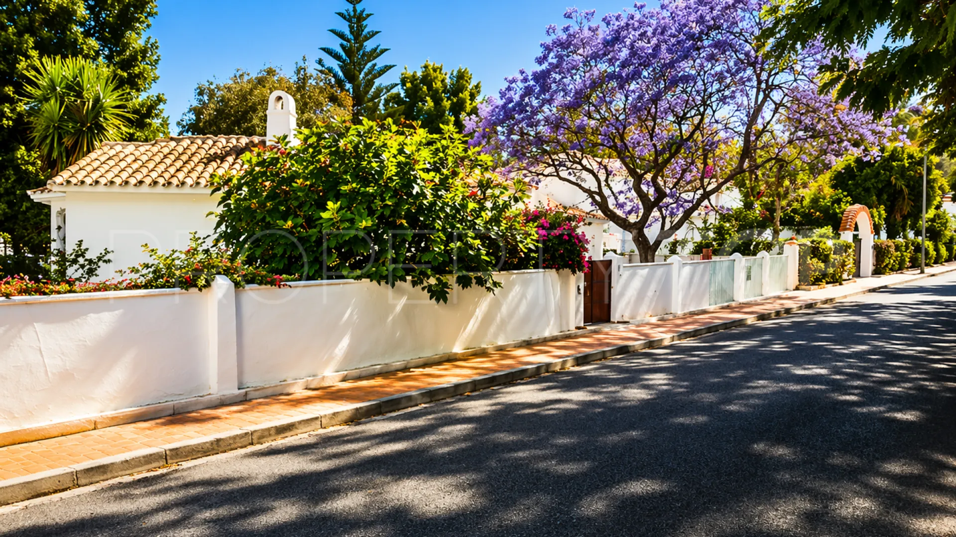 Buy Guadalmina Alta villa