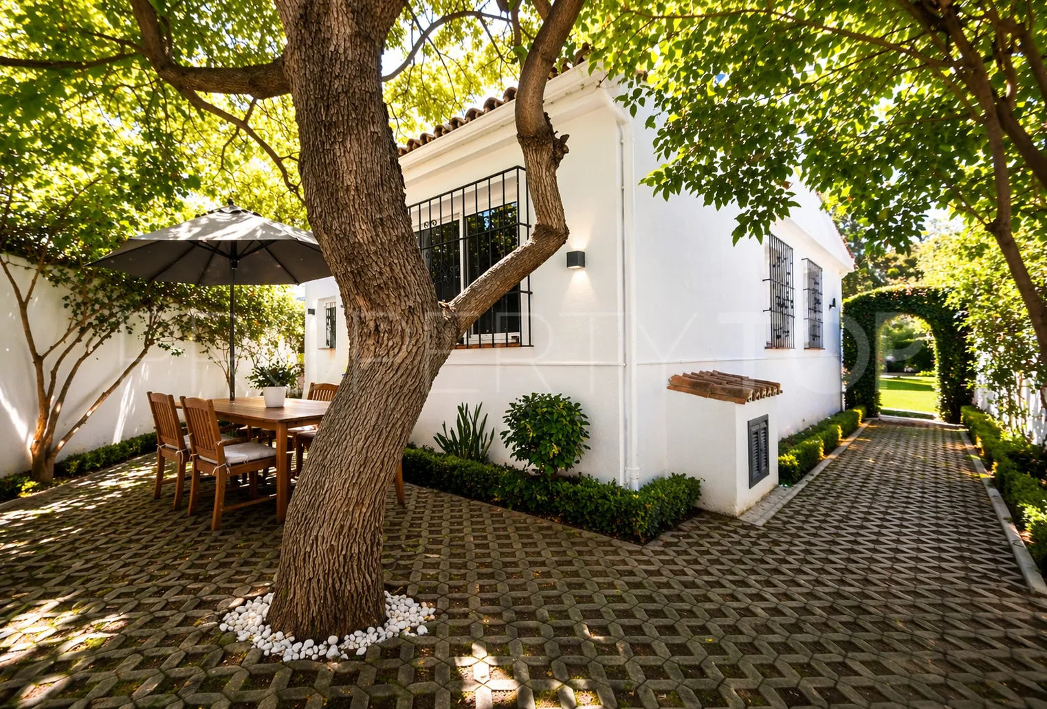 Buy Guadalmina Alta villa