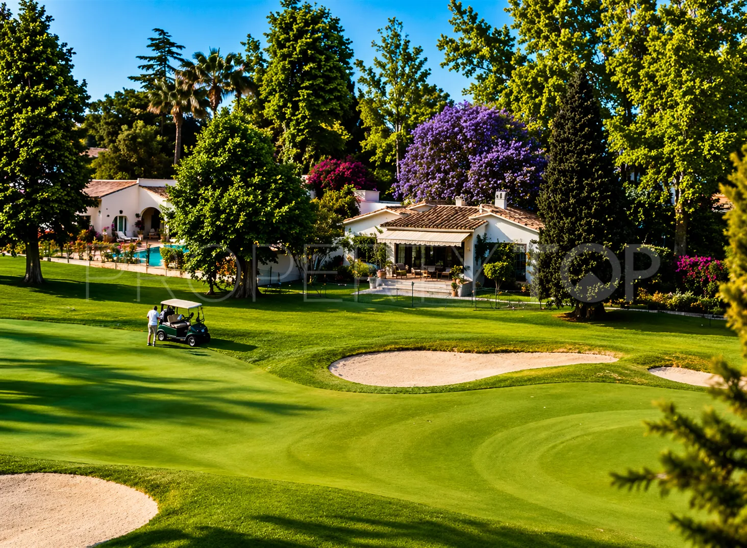 Buy Guadalmina Alta villa