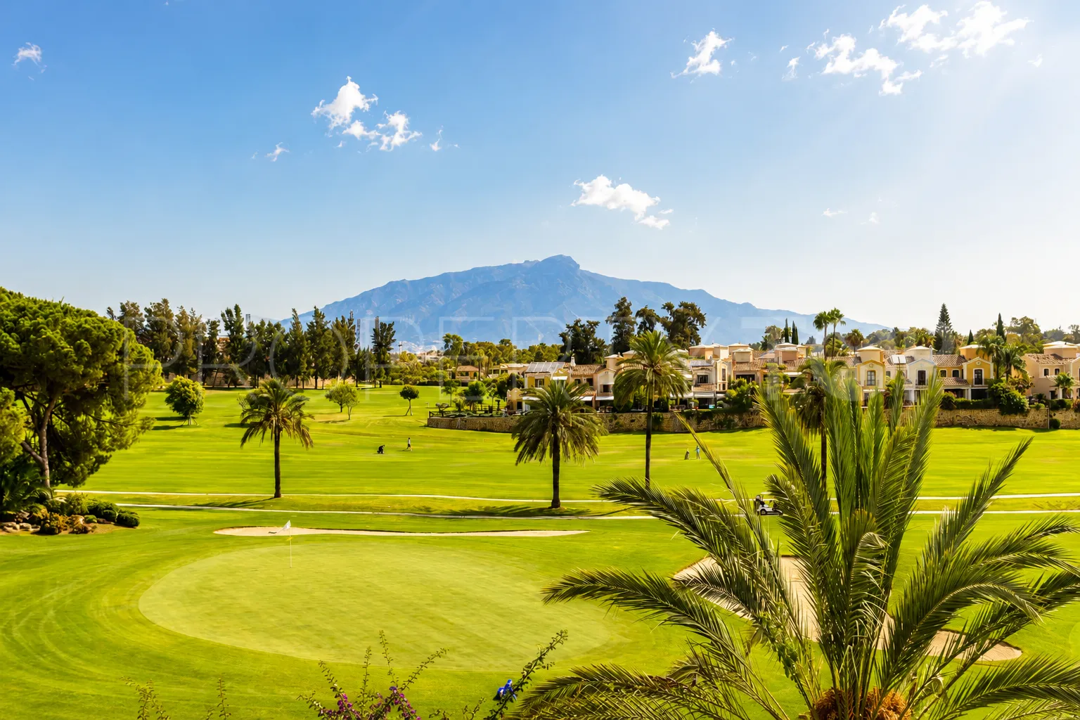 6 bedrooms town house in Guadalmina Alta for sale