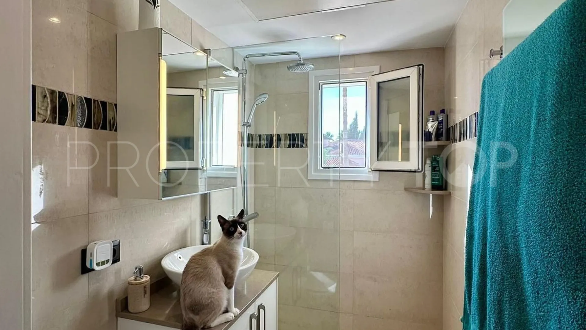 6 bedrooms villa for sale in Estepona