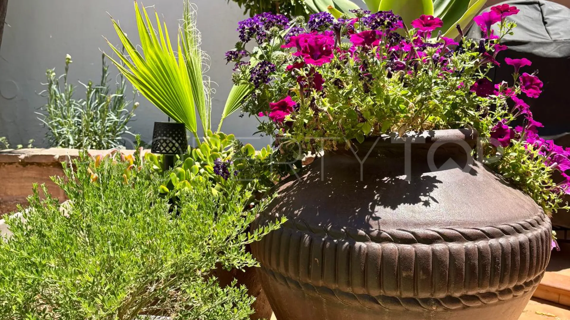Estepona Centre 5 bedrooms town house for sale