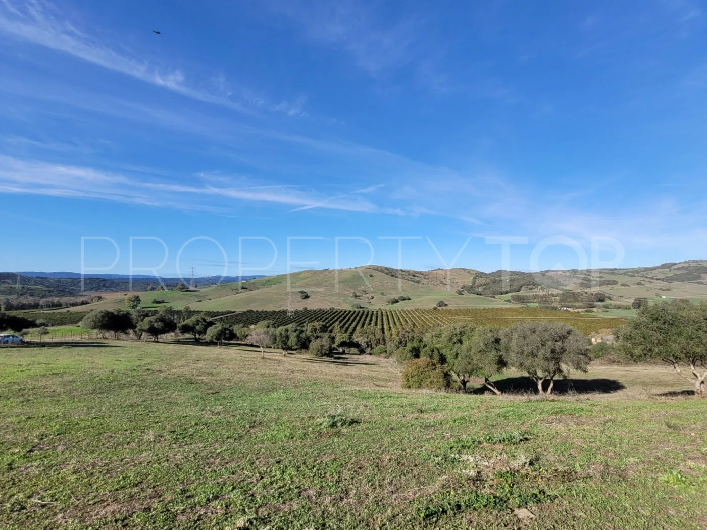 For sale villa in San Martin del Tesorillo