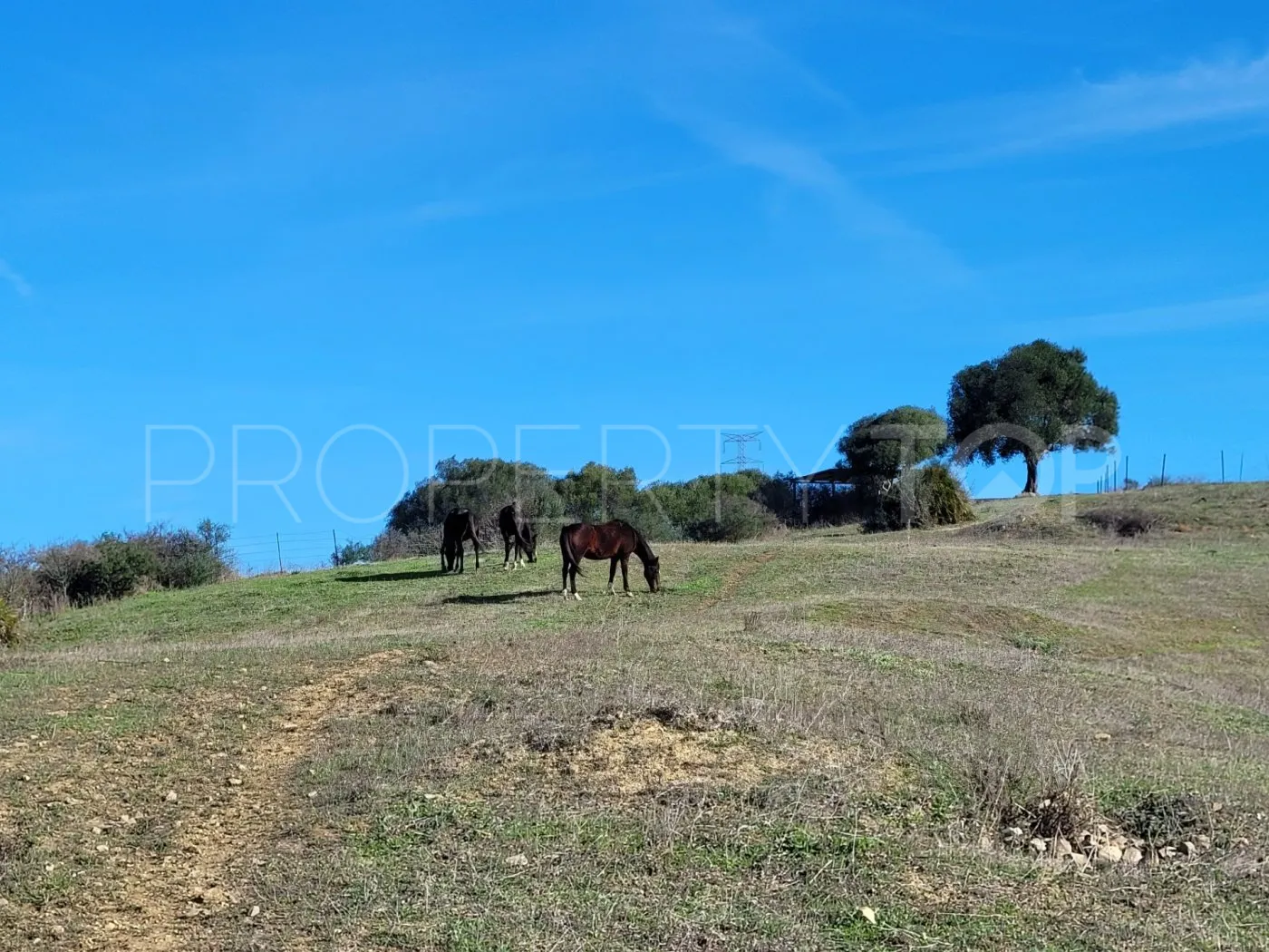 For sale villa in San Martin del Tesorillo