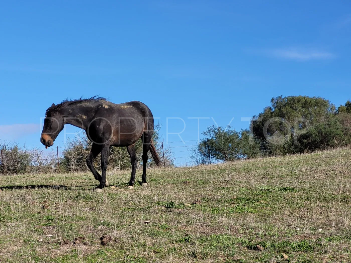For sale villa in San Martin del Tesorillo