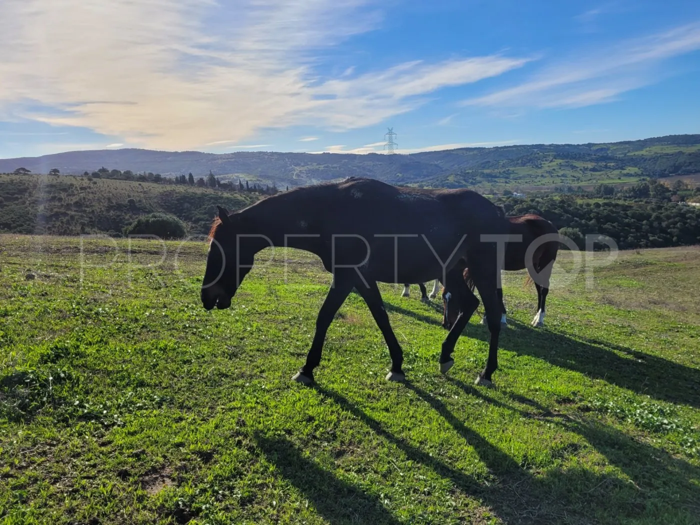 For sale villa in San Martin del Tesorillo