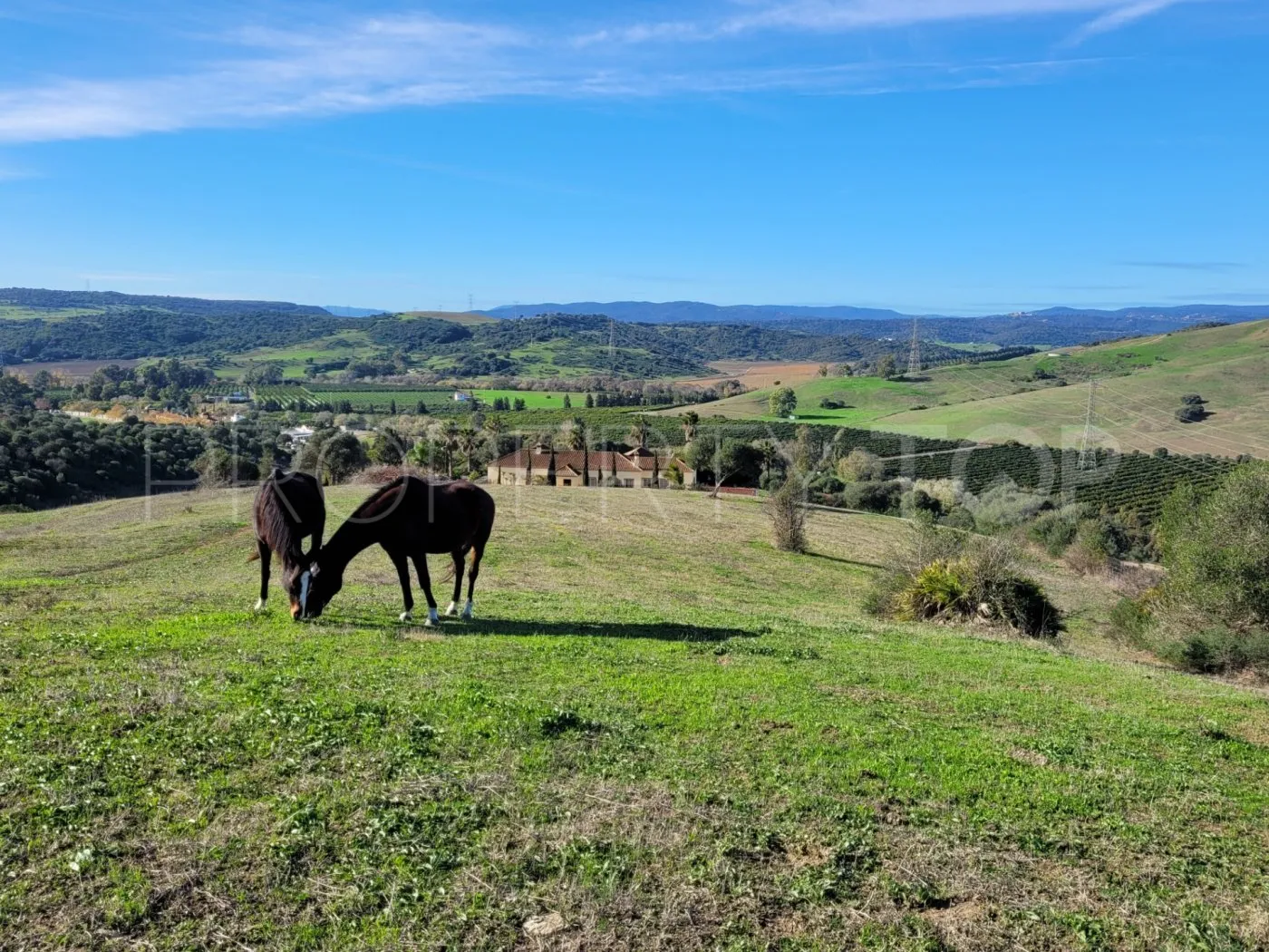 For sale villa in San Martin del Tesorillo