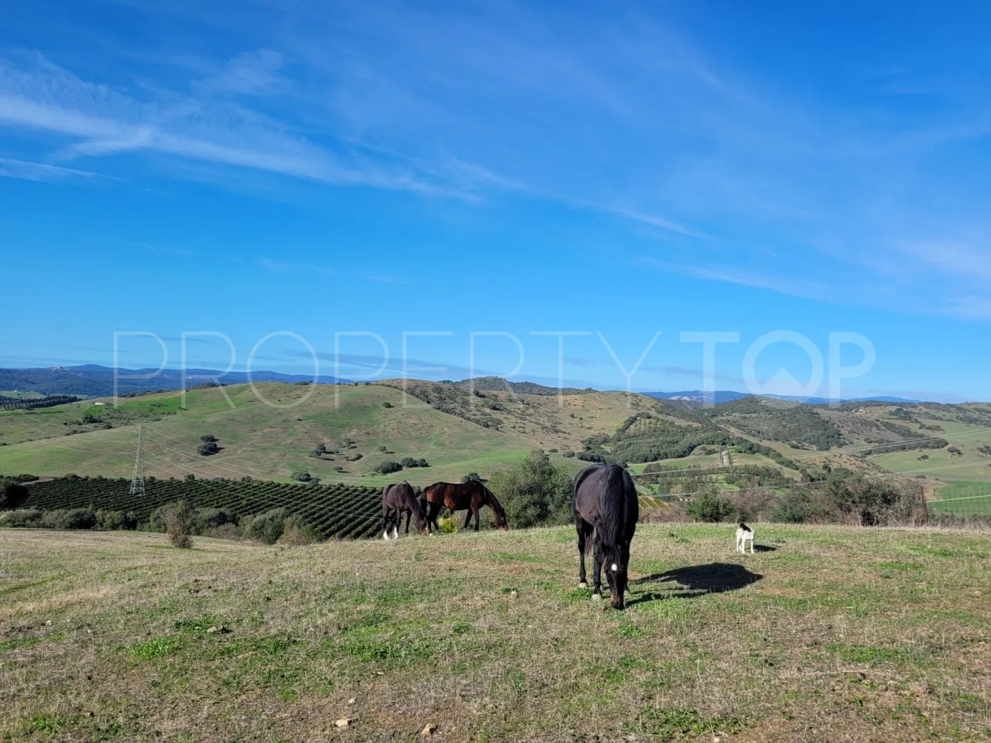 For sale villa in San Martin del Tesorillo